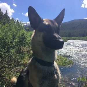 Meet your Posher, Lorin